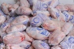 کشف حدود ۶ تن مرغ کشتار روز احتکار شده در یکی از مرغداری‌های مسجدسلیمان