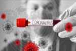 گزارش باشگاه روزنامه نگاران از تازه ترین آمار مبتلایان به ویروس کرونا در مسجدسلیمان و خوزستان