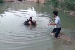 غرق شدن جوان ۲۰ ساله در منطقه چم آسیاب مسجدسلیمان