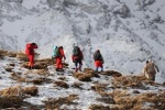 چهار گردشگر مفقود شده درکوه‌های زاگرس، پیدا شدند