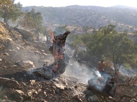 مهار آتش سوزی در جنگل‌های اندیکا