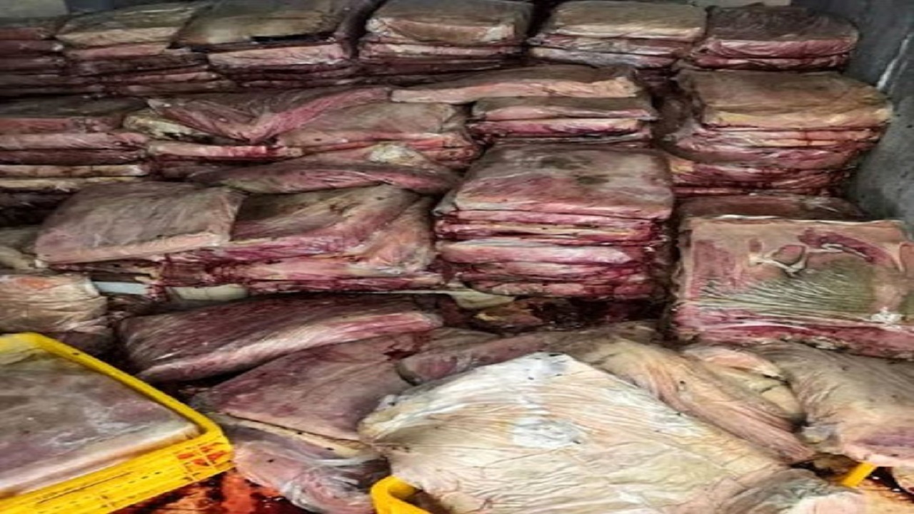 معدوم‌سازی بیش از ۱۸۰ کیلو گرم گوشت منجمد در مسجدسلیمان