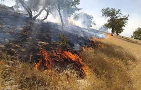 آتش‌سوزی در اراضی منطقه حفاظت‌ شده «هفت شهیدان»